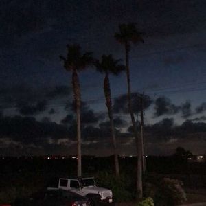 Meet your Posher, George